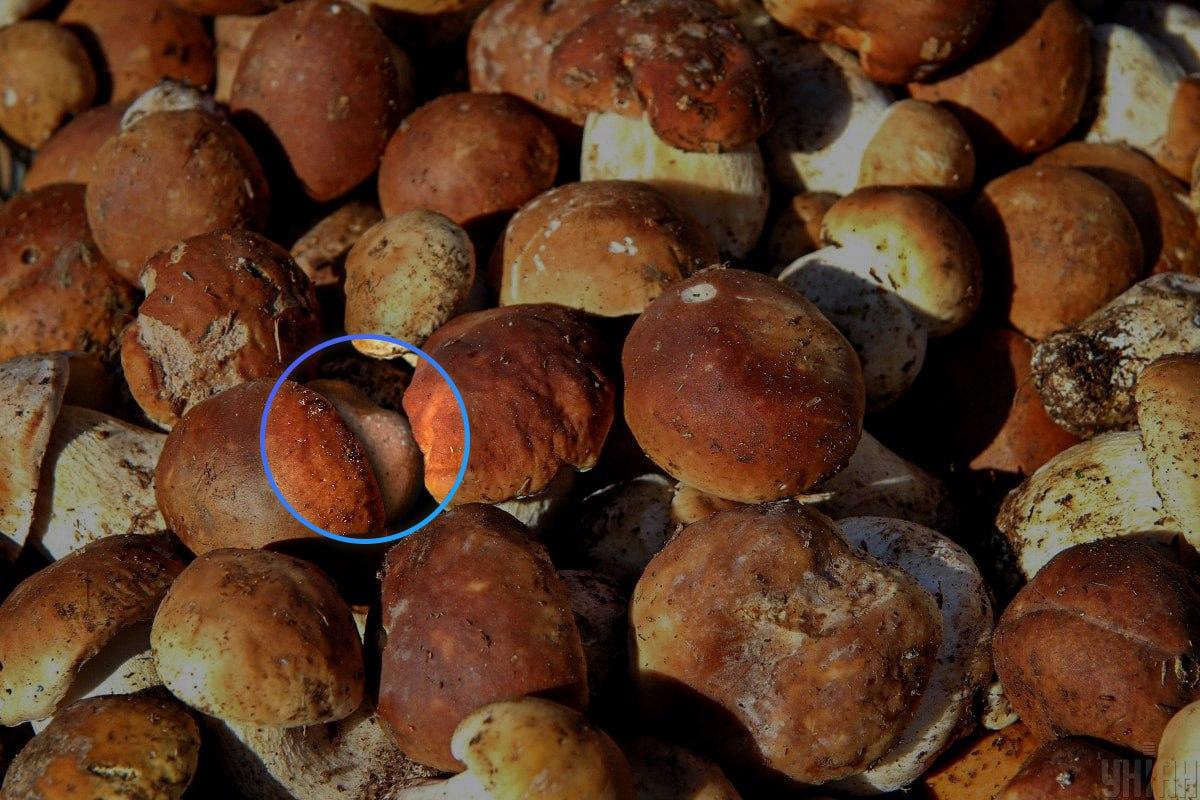 La pietra era qi al centro dell'illusione ottica / collage Moje