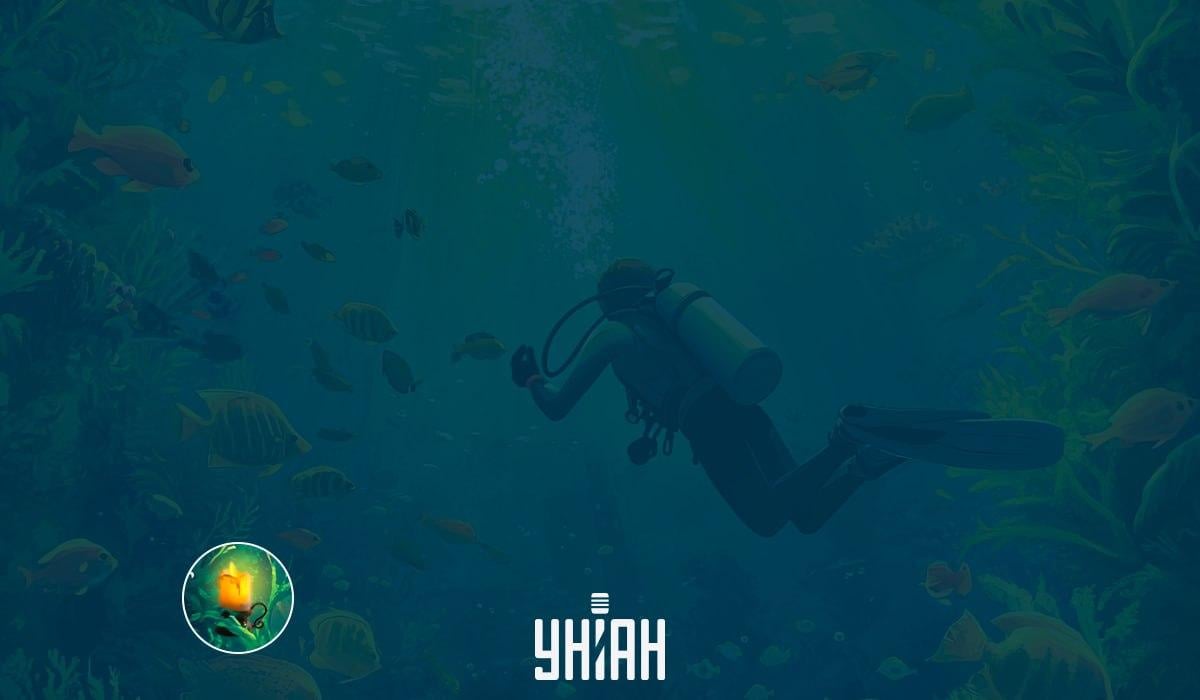 Test del QI dell'immagine / immagine Moje