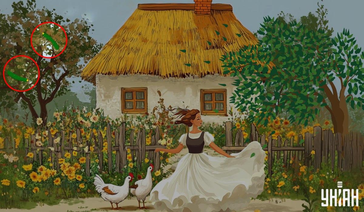 risposta / foto Moje