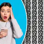 Dove sono nascosti 86 e 35: solo i più attenti troveranno i numeri in 6 secondi Dove sono nascosti 86 e 35: solo i più attenti