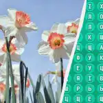 Il 98% delle persone non riesce a trovare la parola