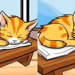 Solo i più attenti riusciranno a trovare 3 differenze da