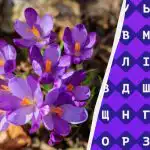Solo l'1% delle persone riesce a trovare la parola "crocus"