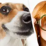 Solo un vero titano del QI può vedere un cane